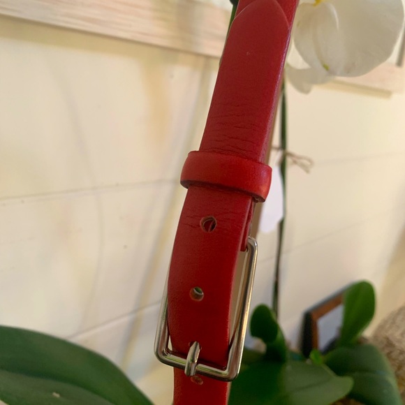 Brax red belt - Picture 3 of 7